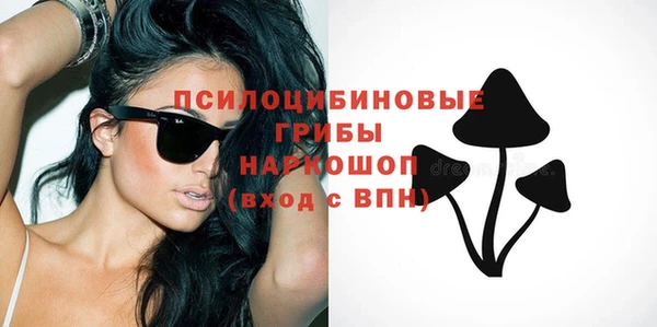 прущий лед Богородицк