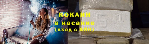 дмт Богданович