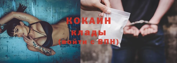 дмт Богданович