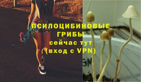 прущий лед Богородицк