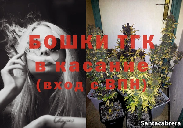 дмт Богданович
