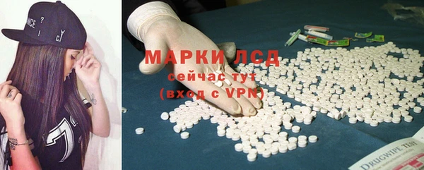 дмт Богданович