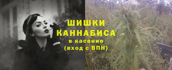 дмт Богданович