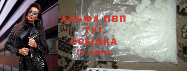 дмт Богданович